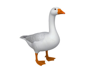 A realistic illustration of a standing goose.