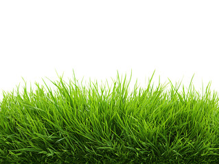 Fototapeta premium flying fresh green lawn grass on clipping path transprent