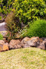 Conjunto de flores al aire libre en Tenerife.
