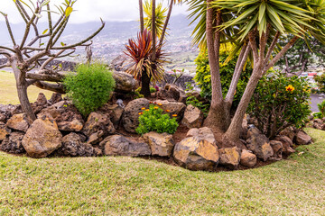 Conjunto de flores al aire libre en Tenerife.
