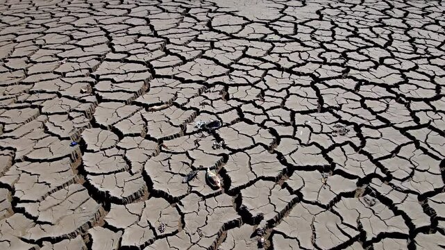 Cracked lakebed revealing abandoned, weathered vessels, stark testimony of prolonged drought impacting ecosystem sustainability