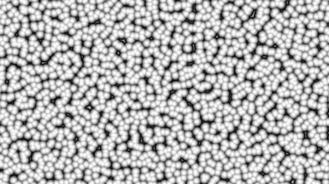 Organic Blobs Morphing Loop in Black and White