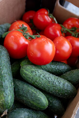 Freshly harvested, ripe red tomatoes on the vine nestled amongst vibrant green cucumbers in a rustic cardboard box, showcasing wholesome farm produce