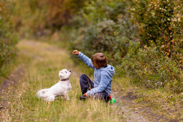 Cute little blond child, boy, training his little pet dog to obey orders, playing with him outdoors