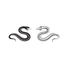 snake silhouette vector illustration on white background