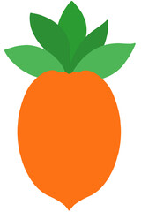 carrot