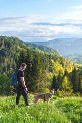 Hiker walking dog on trail in Triglav National Park, Slovenian Alps, with scenic mountain view.