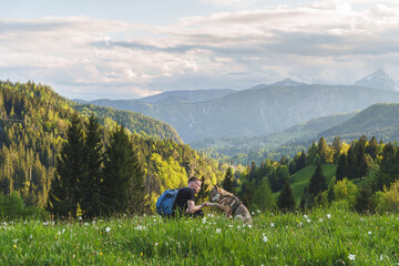 Man hiking with dog in Slovenian Alps, sitting in wildflower meadow in Triglav National Park