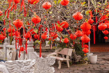 Red lanterns hanging from tree during festival in Vietnam