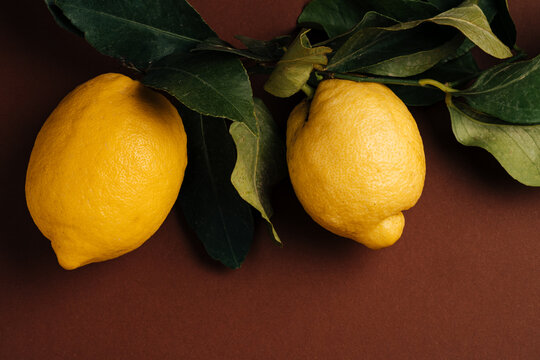 Two fresh lemons with green leaves on brown background