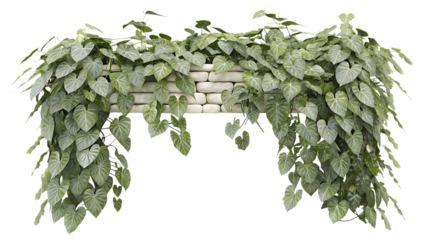 3D Botanical Archway Model with Detailed Vine and Leaves