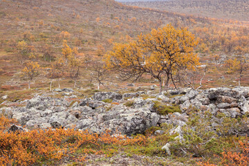 Autumn landscape over a mountain landscape in northern Finland
