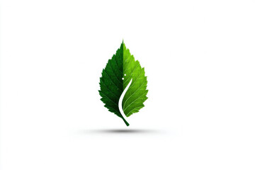 Fototapeta premium Green leaf icon with minimalist design, eco friendly symbol, clean white background, fresh and natural look, suitable for environmental or organic concepts