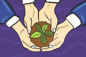 Hands nurturing young plant for eco-friendly growth