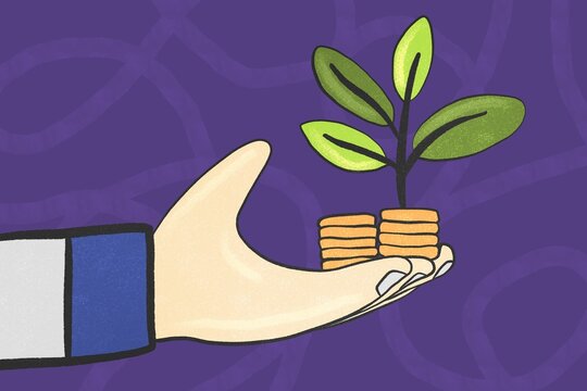 Sustainable growth illustrated by green plant and coins