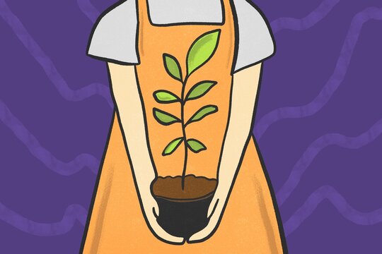 Illustration of sustainability in an eco-conscious lifestyle