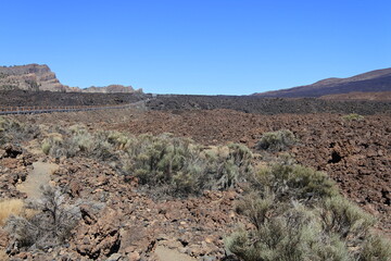 Straße durch die Lavafelder am Pico del Teide	