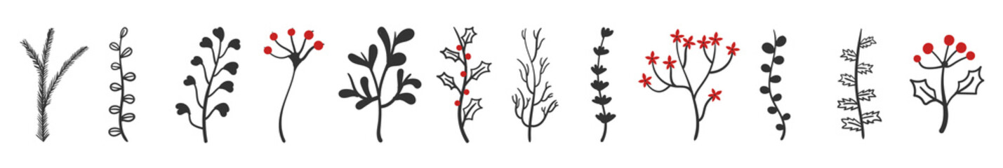 png holiday floral vector with berry doodle art isolated decorative nature plant christmas design spring romantic wedding leaf element collection

