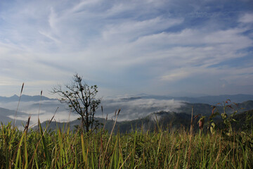 Misty Valley from a Grassy Hilltop, Khao Chang Phueak. A view from a grassy hilltop overlooking a fog-filled valley with soft sunlight streaming in.