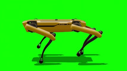 Four legged robot dog walking, green screen. Robotic Dog walks on a Chromakey.  Boston dynamics robot dog. Chromakey, Green Screen, Close-up.	
