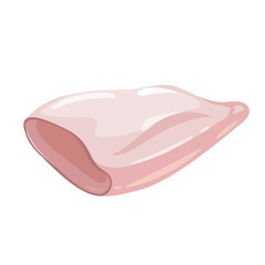 Illustration of vector squid fillet premium luury seafood isolated on white background.