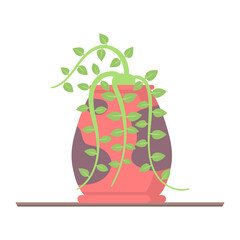 png indoor succulent in knitted holder macrame rope cartoon flat garden house decor crafted plant cosy graphic vector design hand-made illustration

