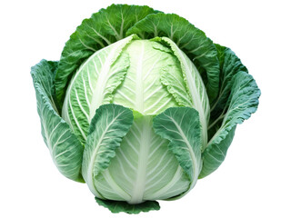 Cabbage (Brassica oleracea) Leafy green cabbage with a slightly bitter flavor, used in salads, slaws, stir-fries, or fermented into sauerkraut.