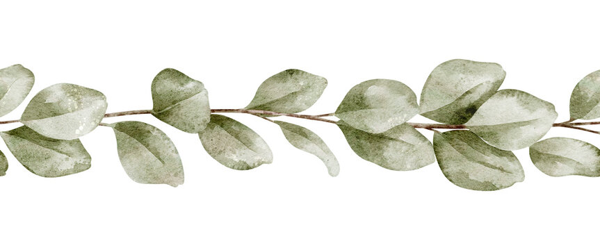 Watercolor seamless Border of Eucalyptus branches in soft pastel green tones. Illustration of botanical Frame for Baby shower greeting cards or wedding invitations. Drawing of frame with leaves.