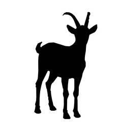 Goat Silhouette Vector Design
