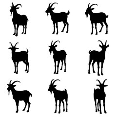 Goat Silhouette Vector Design