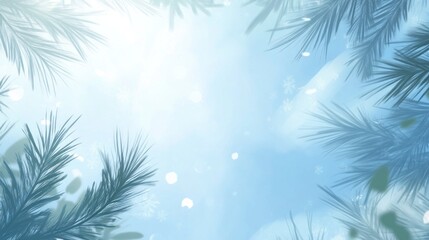 Obraz premium Light-blue winter scene with delicate pine branches.