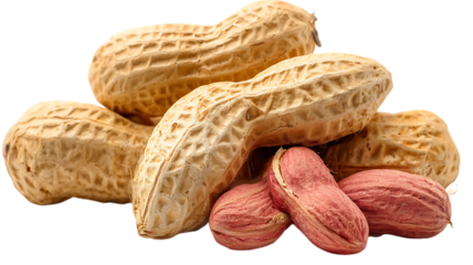 Fresh peanuts with shells and peeled peanuts isolated on a black background