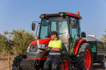 Farmer resting next to a red tractor in an olive grove during harvest season