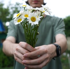  happy young farmer holds out a bouquet of daisy flowers in his hands, white summer flowers in his hair, sits on a stool near a garden bed with different flowering plants
