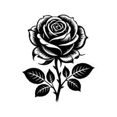 Stark black foliage silhouette  illustration with delicate leaf veins on a transparent background for creative projects