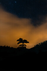 Starry night sky with drifting clouds and cosmic atmosphere

