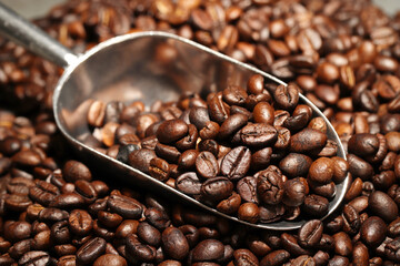 Fototapeta premium roasted coffee beans. with a measuring spoon.