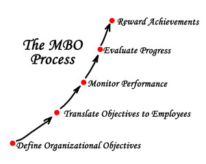 Components of The MBO Process