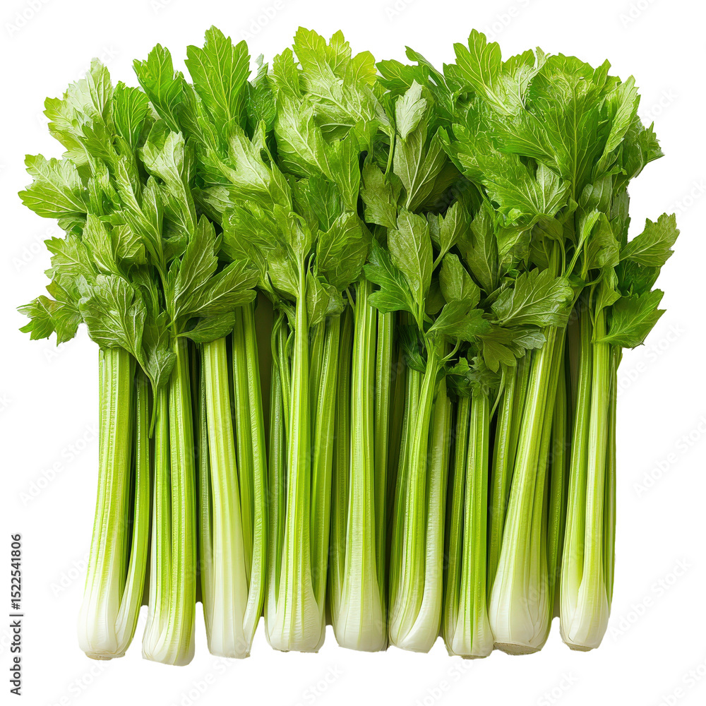 Poster fresh green celery stalks with vibrant leaves arranged in row, showcasing their crisp texture and he