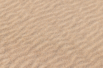 A closeup view of fine sand with small wave-like textures