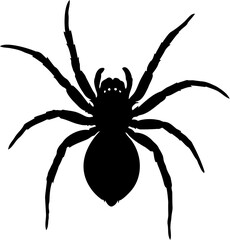 spider silhouette vector illustration, isolated on white