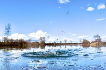 Wassertropfen im See