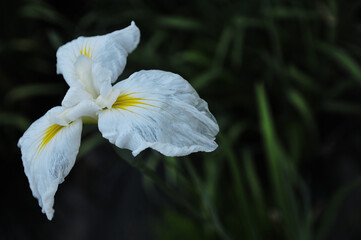 Rainy season Sexually transmitted diseases but Unknow