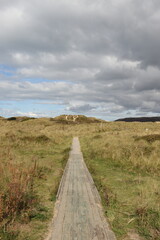 road to the sea