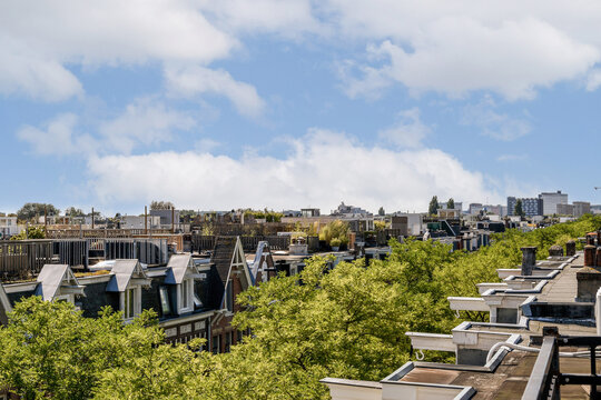 Cityscape with Rooftops and Trees
