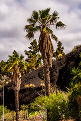 Fototapeta premium Paisaje en Puerto de la Cruz, Isla de Tenerife.