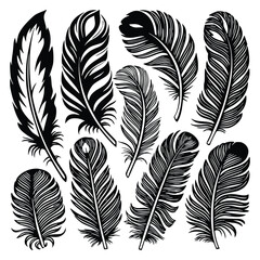 Elegant Black and White Feather Illustration for Creative Projects, Fashion, and Branding