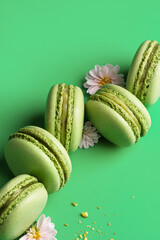 Freshly Made Green Macarons are Beautifully Displayed Against a Vibrant