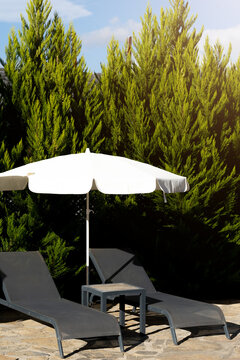 Sun lounger umbrella detail and pine trees at sunset