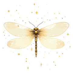 Naklejka premium firefly, insect, animal, vector, transparent background, creature, lampyridae, nature, isolated, wing, beauty, colorful, beautiful